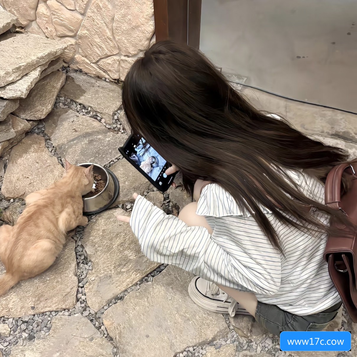 关于www17c.cow网站的安全性和使用方法有哪些需要注意的事项