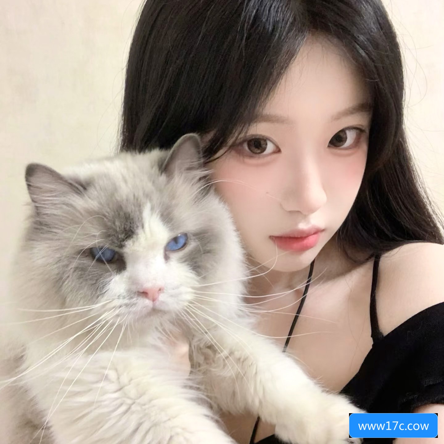 关于www17c.cow网站的安全性和使用注意事项有哪些需要了解的内容